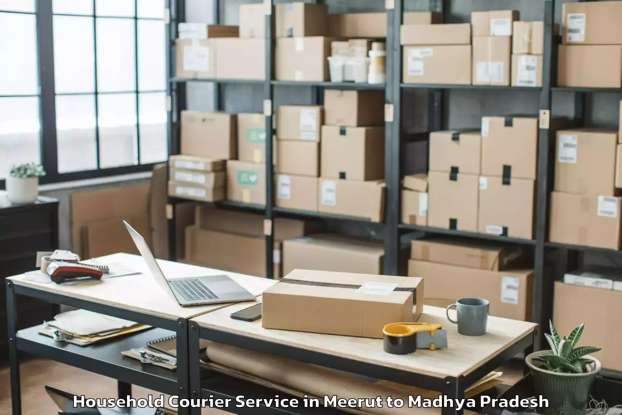 Professional Meerut to Harda Household Courier